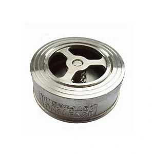 Stainless vy clamp champ check valve