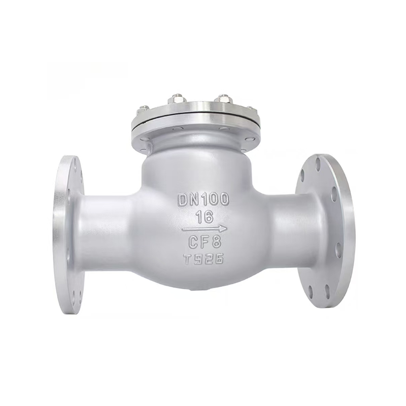Stainless vy Swing Check valve